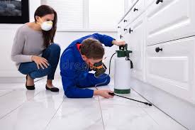 Best Fumigation Services  in Cedar Grove, FL